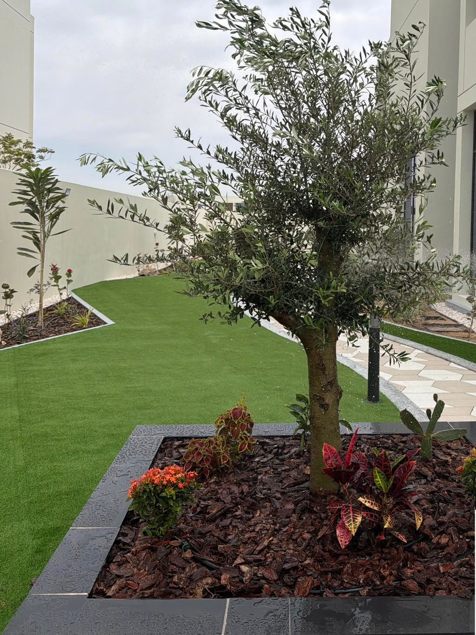 Completed villa garden with palms in Dubai